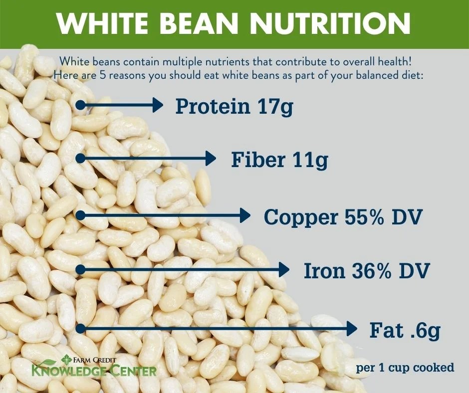 Are White Beans Good for You? Farm Credit of the Virginias